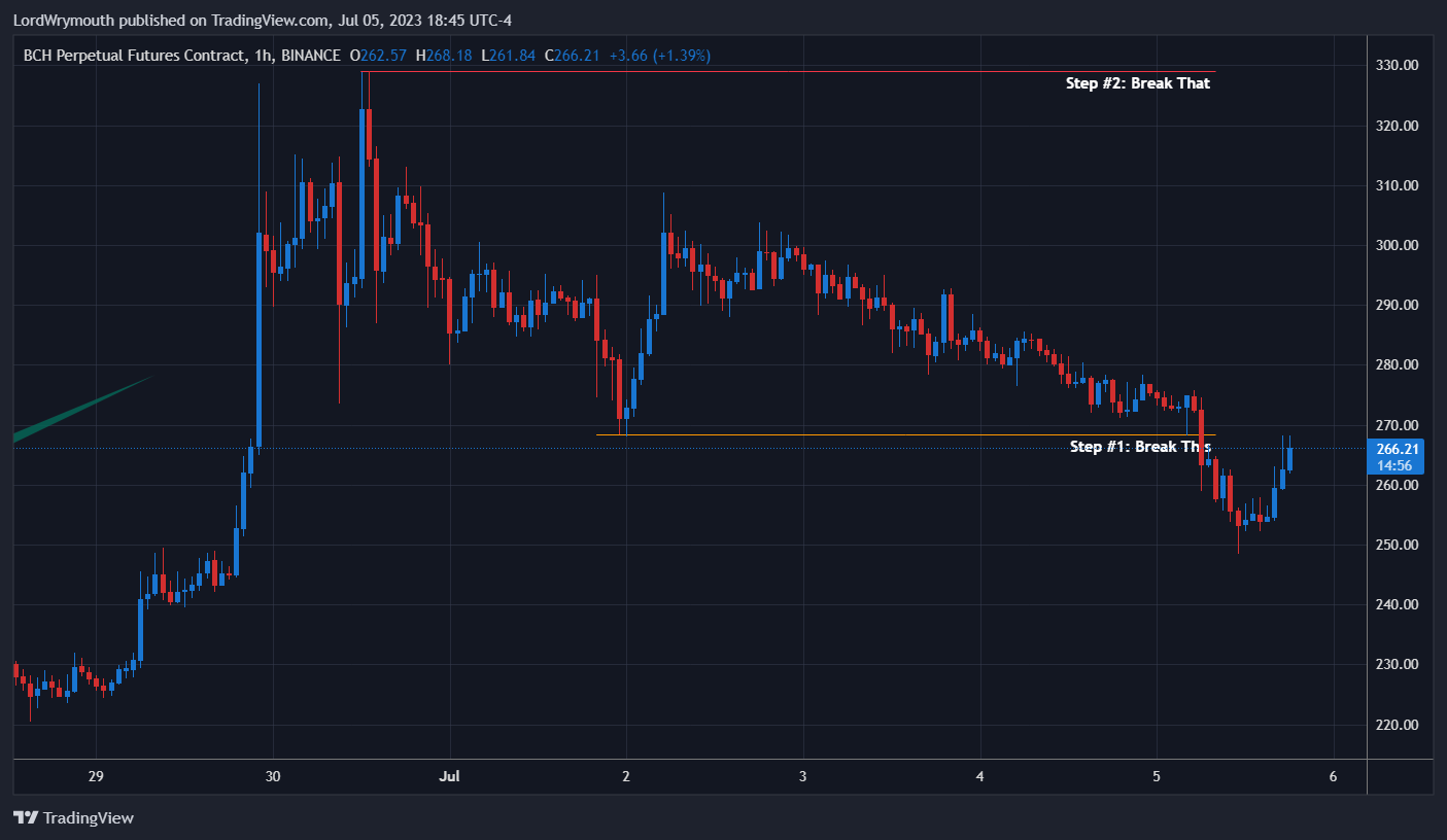 BINANCE:BCHUSD.P Chart Image by LordWrymouth