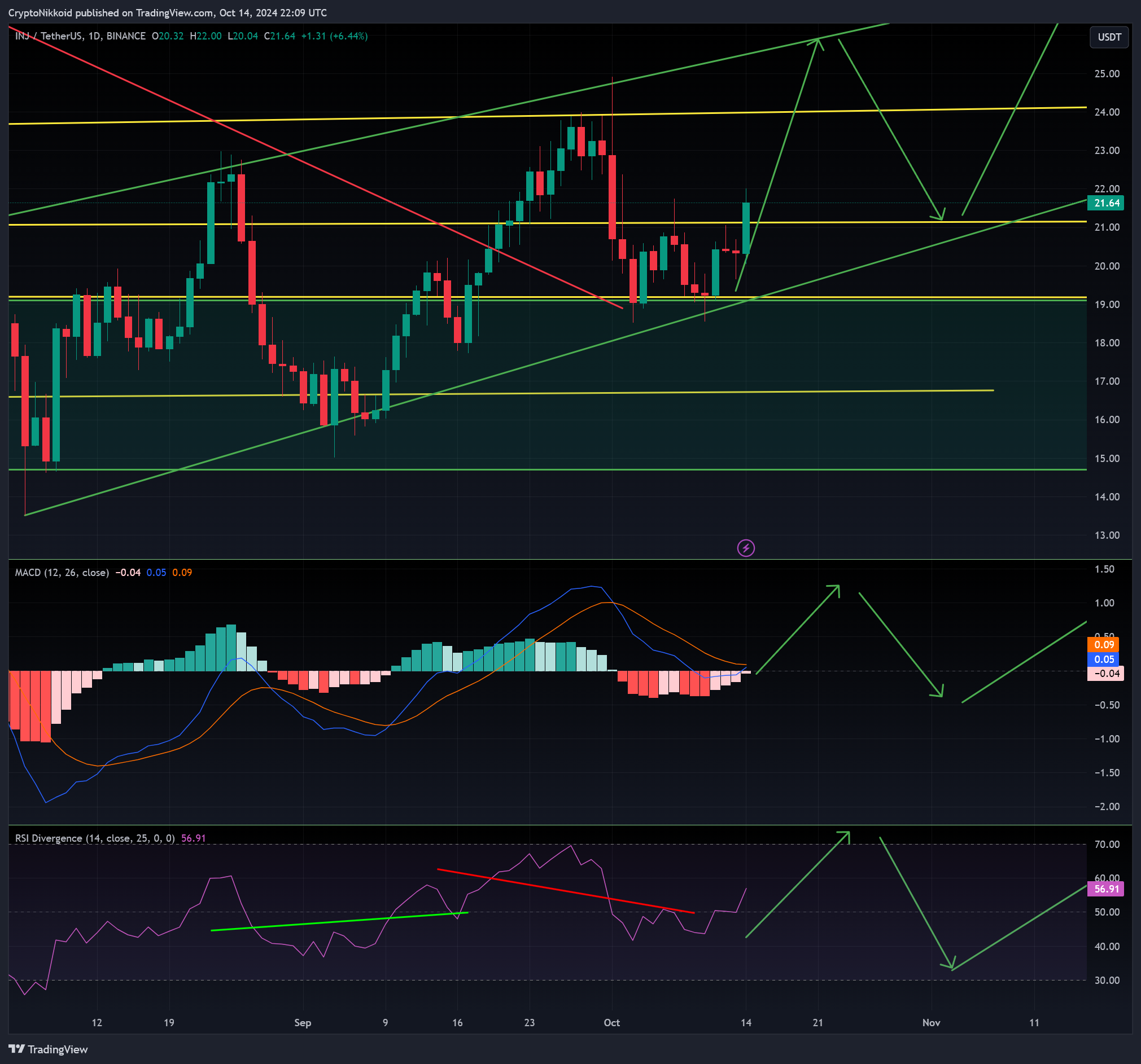 BINANCE:INJUSDT Chart Image by CryptoNikkoid
