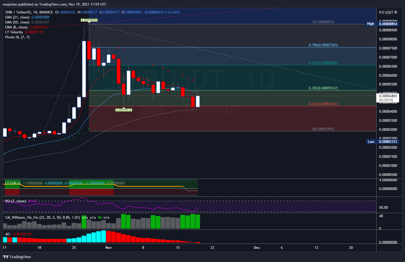 BINANCE:SHIBUSDT Chart Image by majorlee
