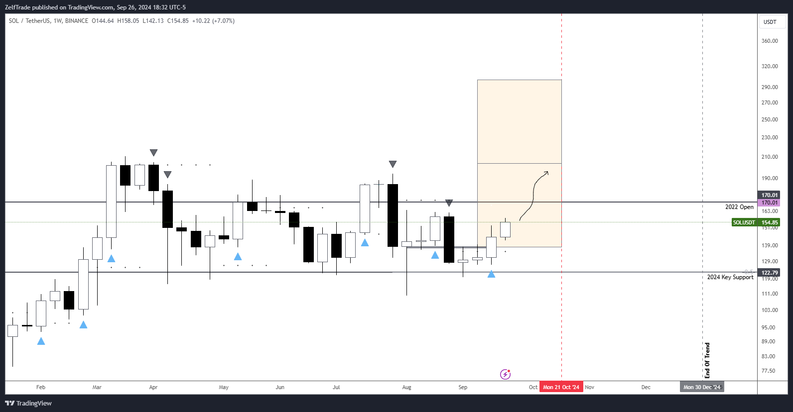 BINANCE:SOLUSDT Chart Image by ZelfTrade