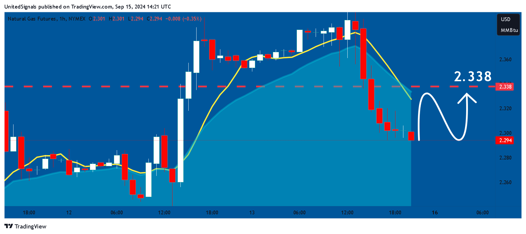 UnitedSignals tarafından NYMEX_DL:NG1! Grafik Görseli