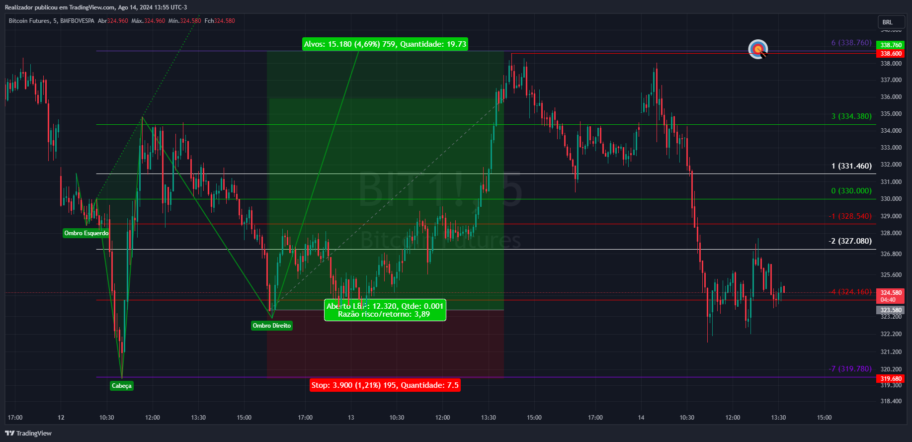 BMFBOVESPA_DLY:BIT1! 차트 이미지 - Realizador 제공