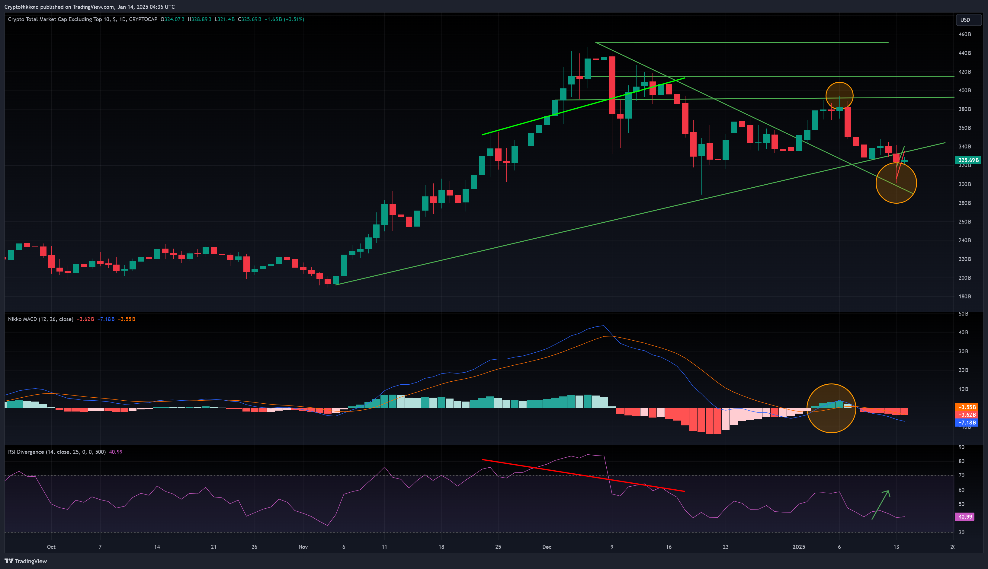 CRYPTOCAP:OTHERS Chart Image by CryptoNikkoid