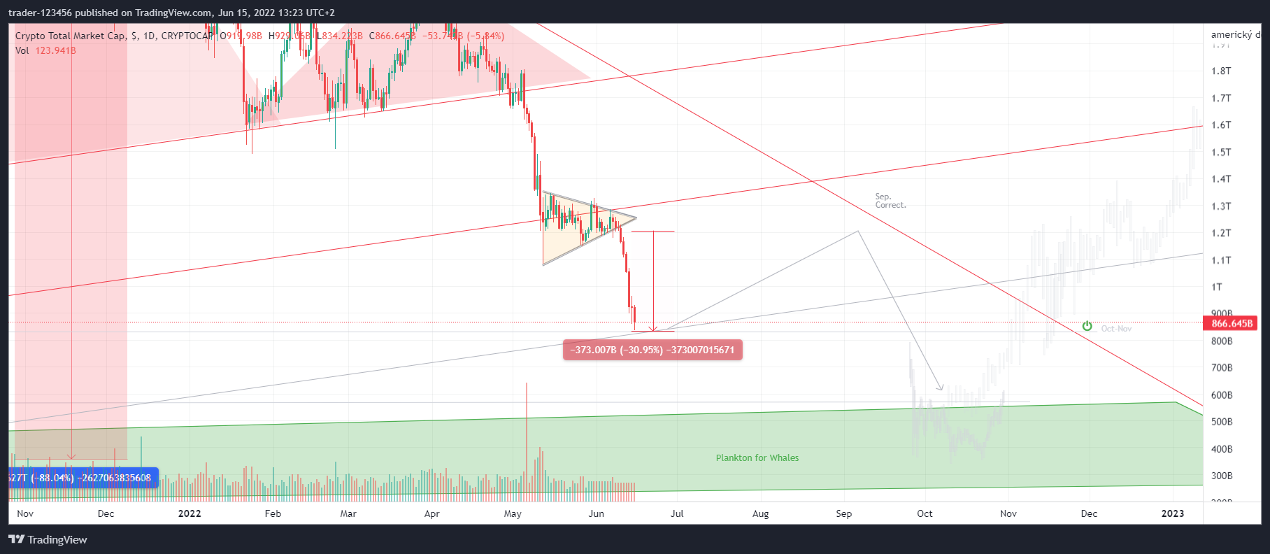 CRYPTOCAP:TOTAL ภาพชาร์ต โดย trader-123456