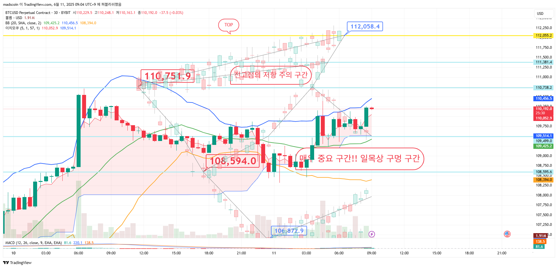 BYBIT:BTCUSD.P Chart Image by madscoin