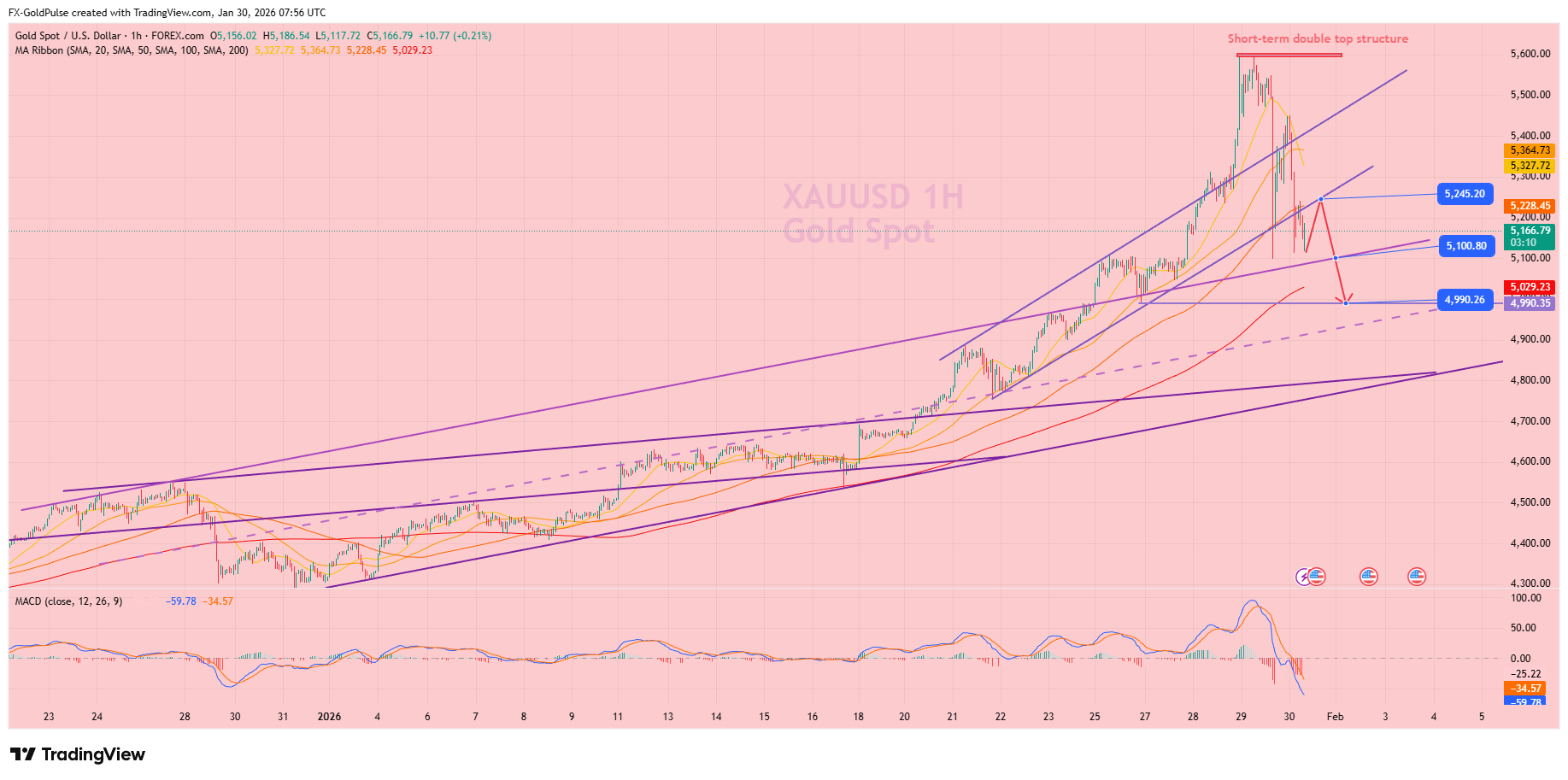 FOREXCOM:XAUUSD Imagen del gráfico de FX-GoldPulse