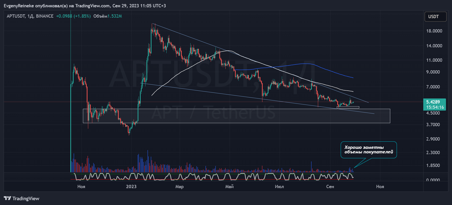 BINANCE:APTUSDT Chart Image by EvgenyReineke