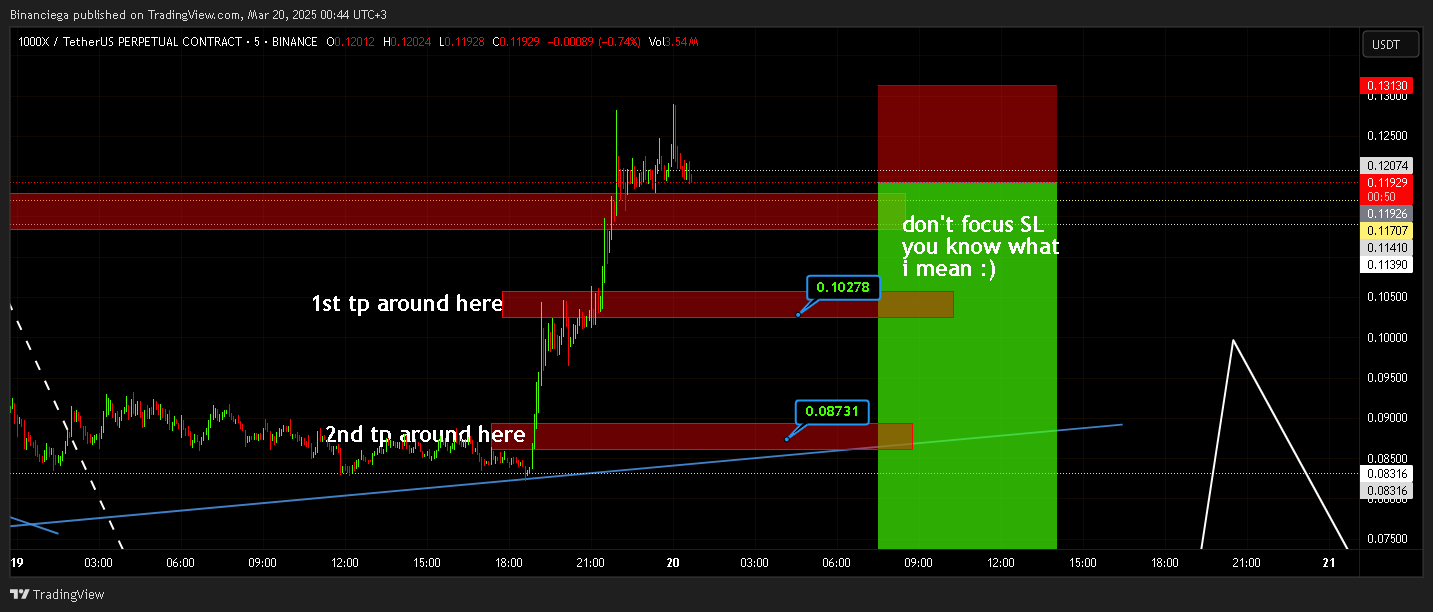 BINANCE:1000XUSDT.P Chart Image by Binanciega