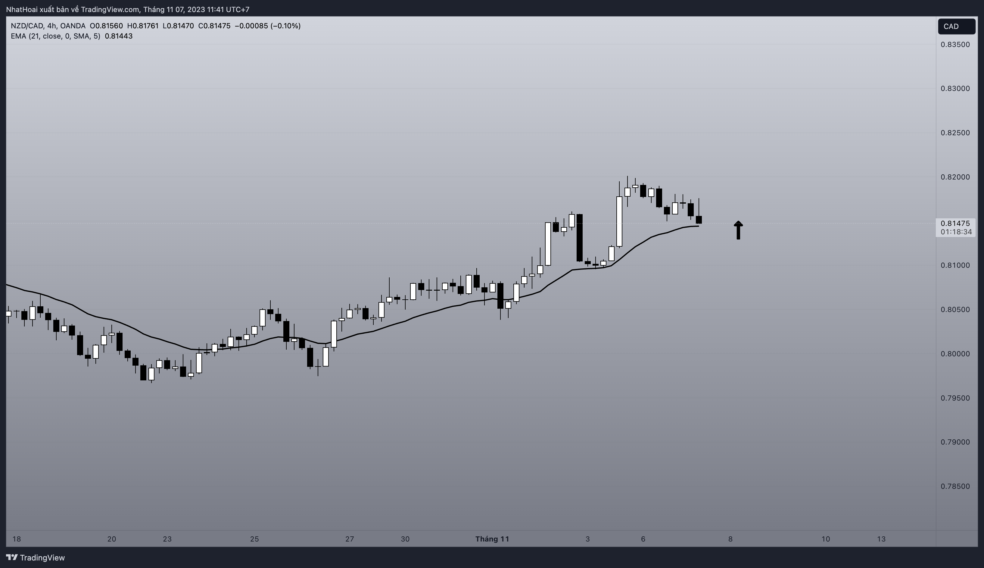 OANDA:NZDCAD Chart Image by NhatHoai
