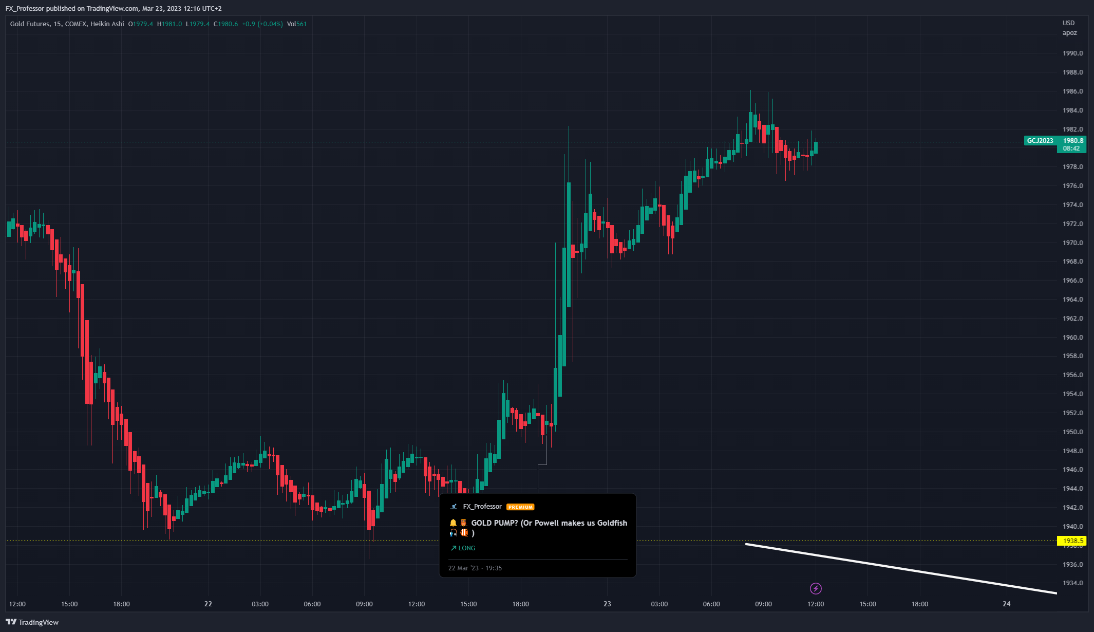 COMEX:GC1! Chart Image by FX_Professor