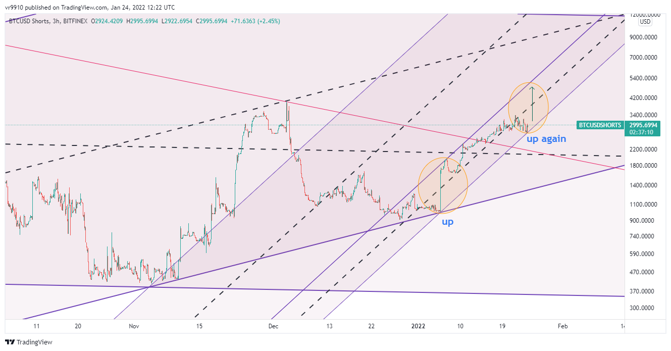 BITFINEX:BTCUSDSHORTS Chart Image by vr9910