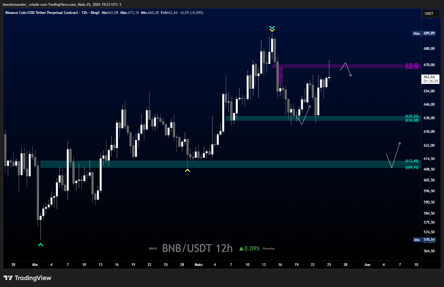 BINGX:BNBUSDT.P Chart Image by leandrosander_
