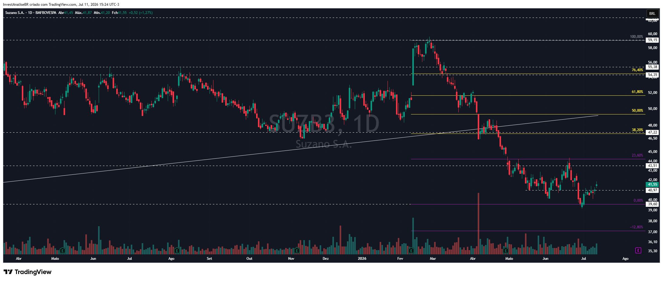 BMFBOVESPA_DLY:SUZB3 Chart Image by InvestAnaliseBR