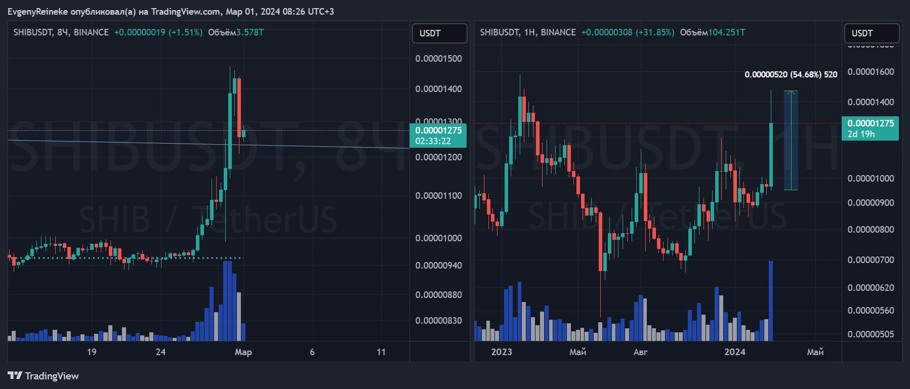 BINANCE:SHIBUSDT Chart Image by EvgenyReineke