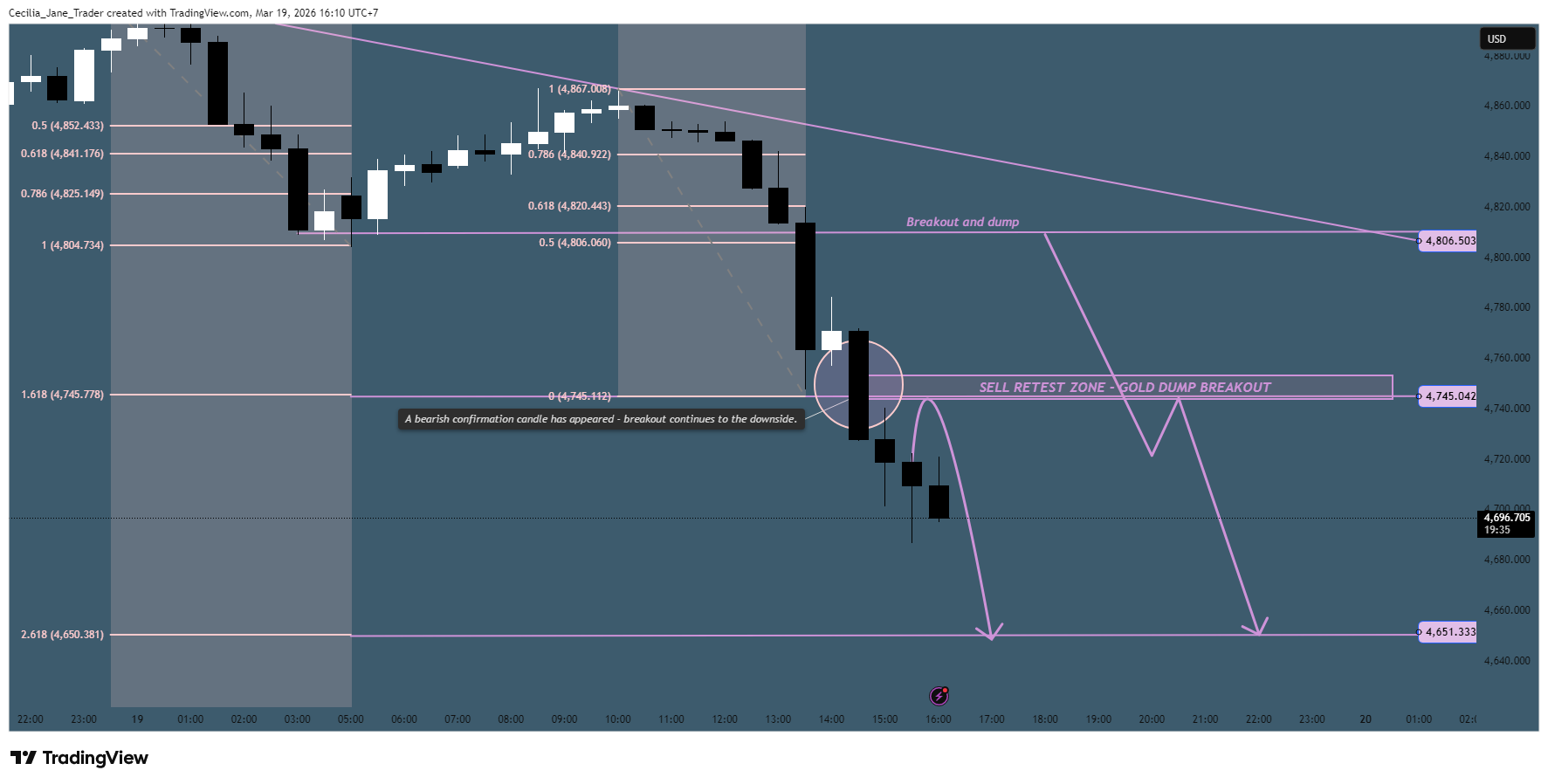 OANDA:XAUUSD 차트 이미지 - Cecilia_Jane_Trader 제공