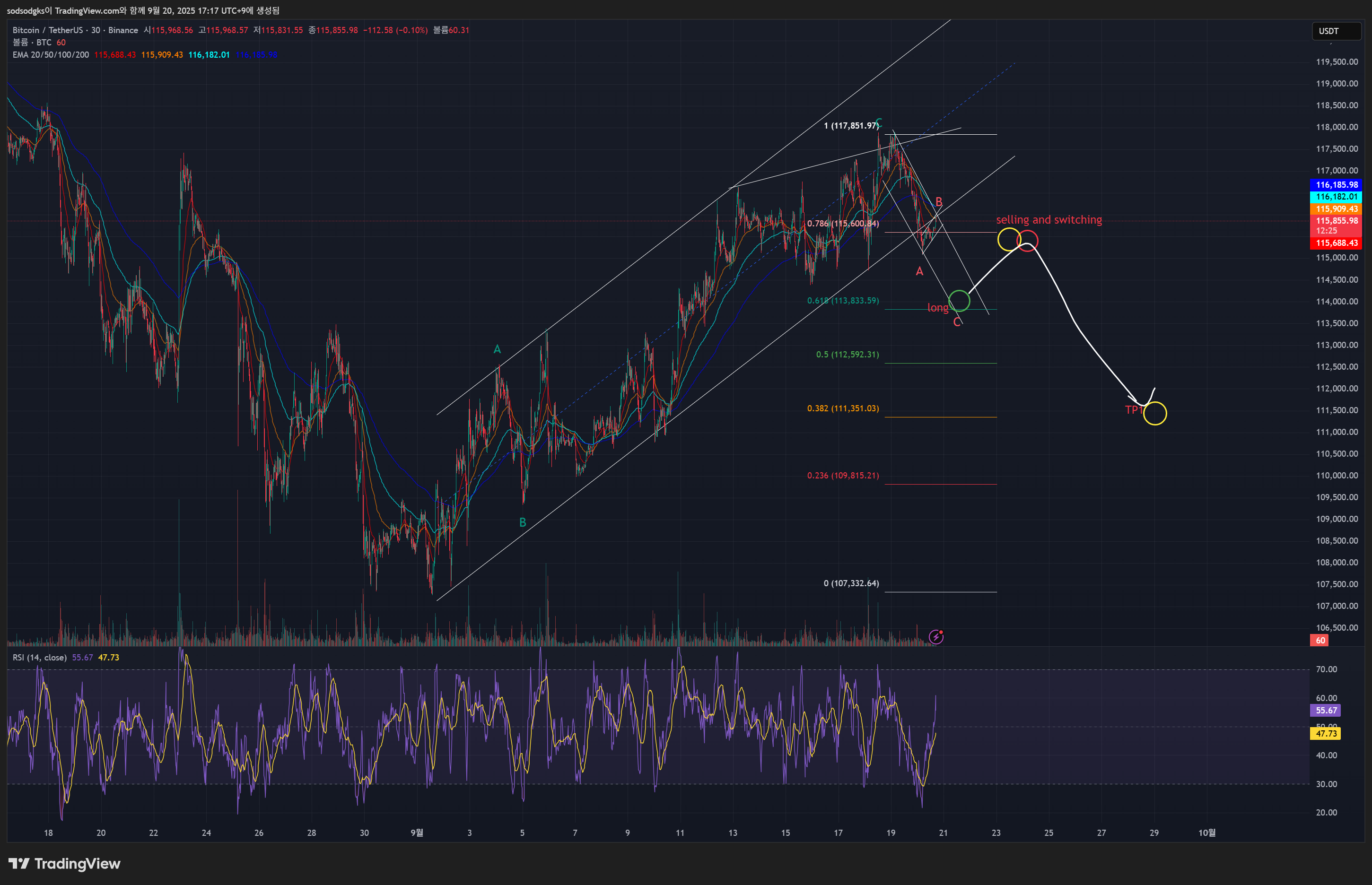 BINANCE:BTCUSDT Chart Image by sodsodgks