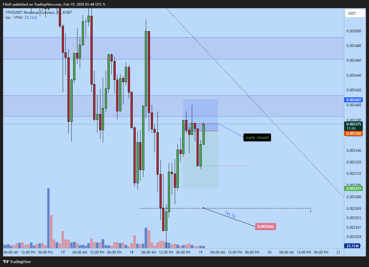 BYBIT:VTHOUSDT.P Chart Image by Filgreat