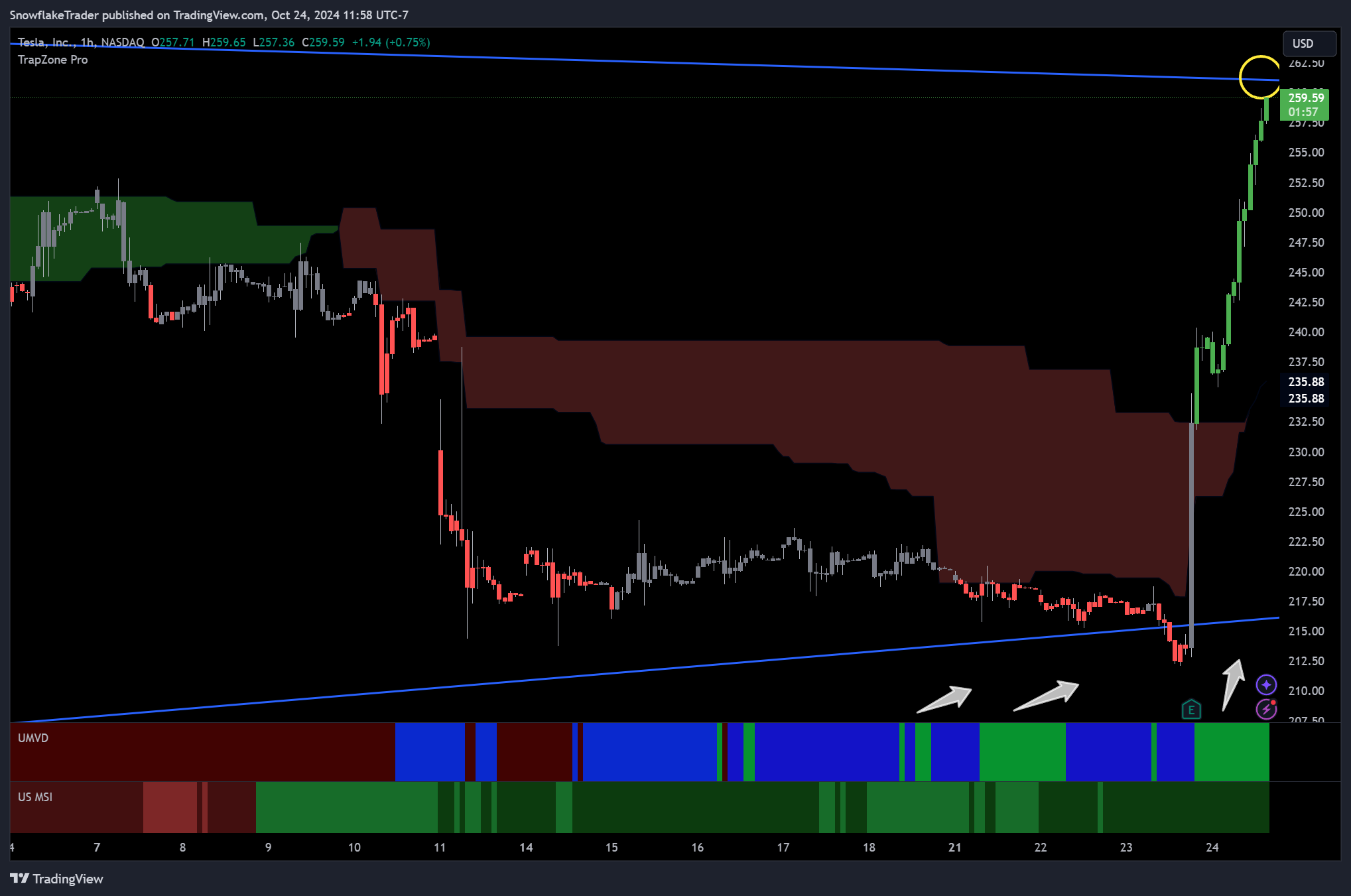 NASDAQ:TSLA Chart Image by SnowflakeTrader