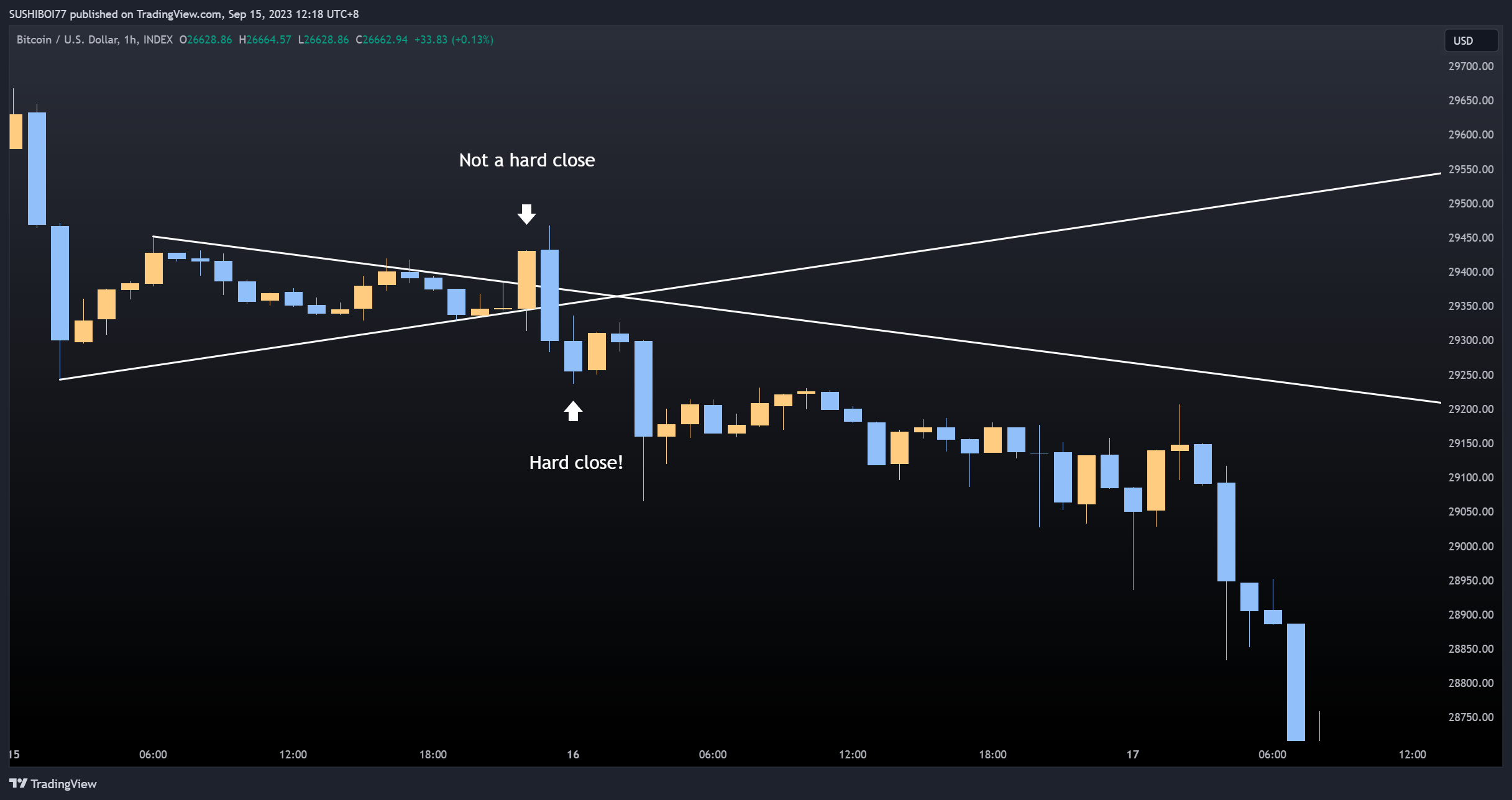 INDEX:BTCUSD Chart Image by SUSHIBOI77