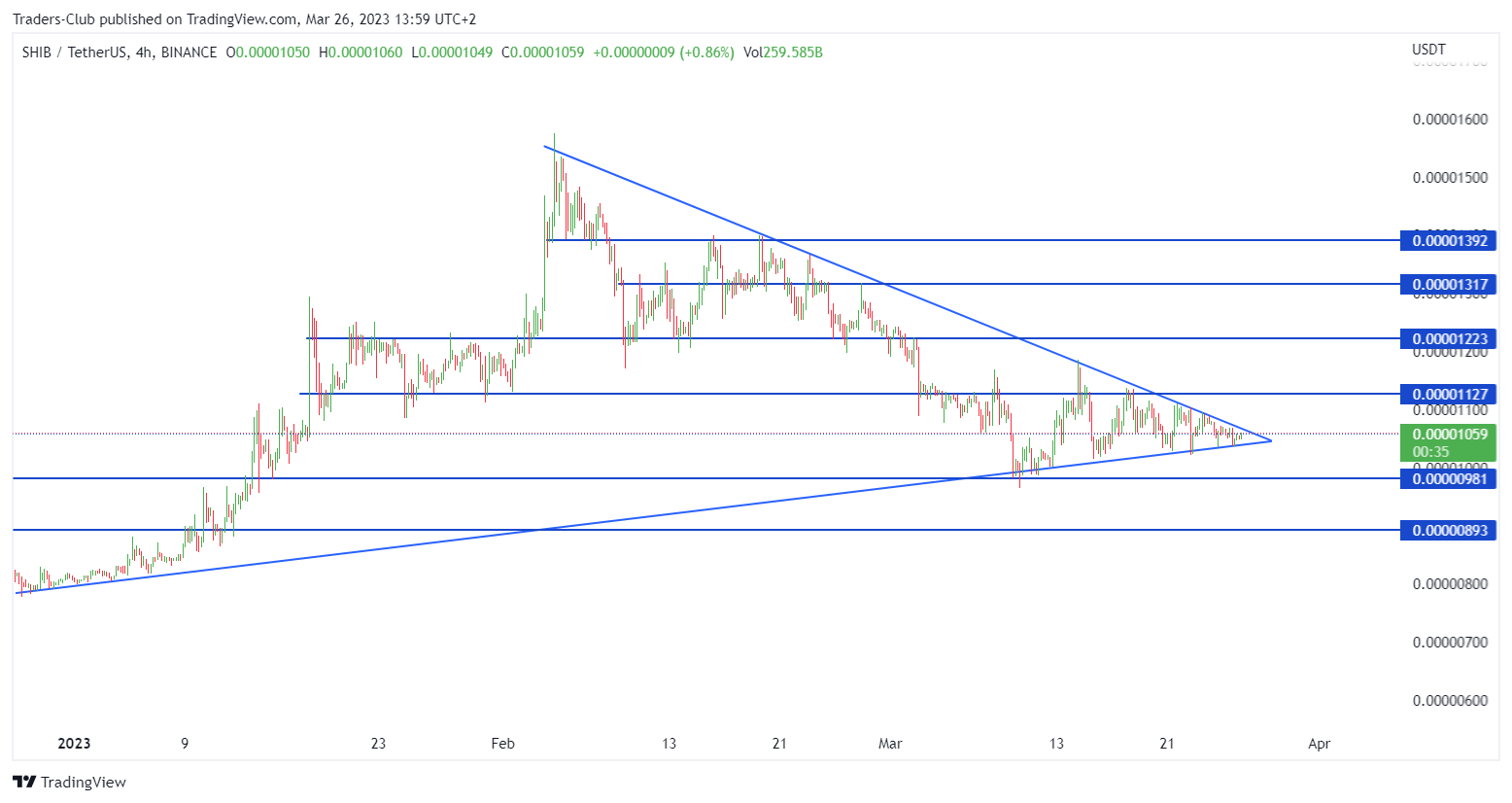 BINANCE:SHIBUSDT Chart Image by Traders-Club