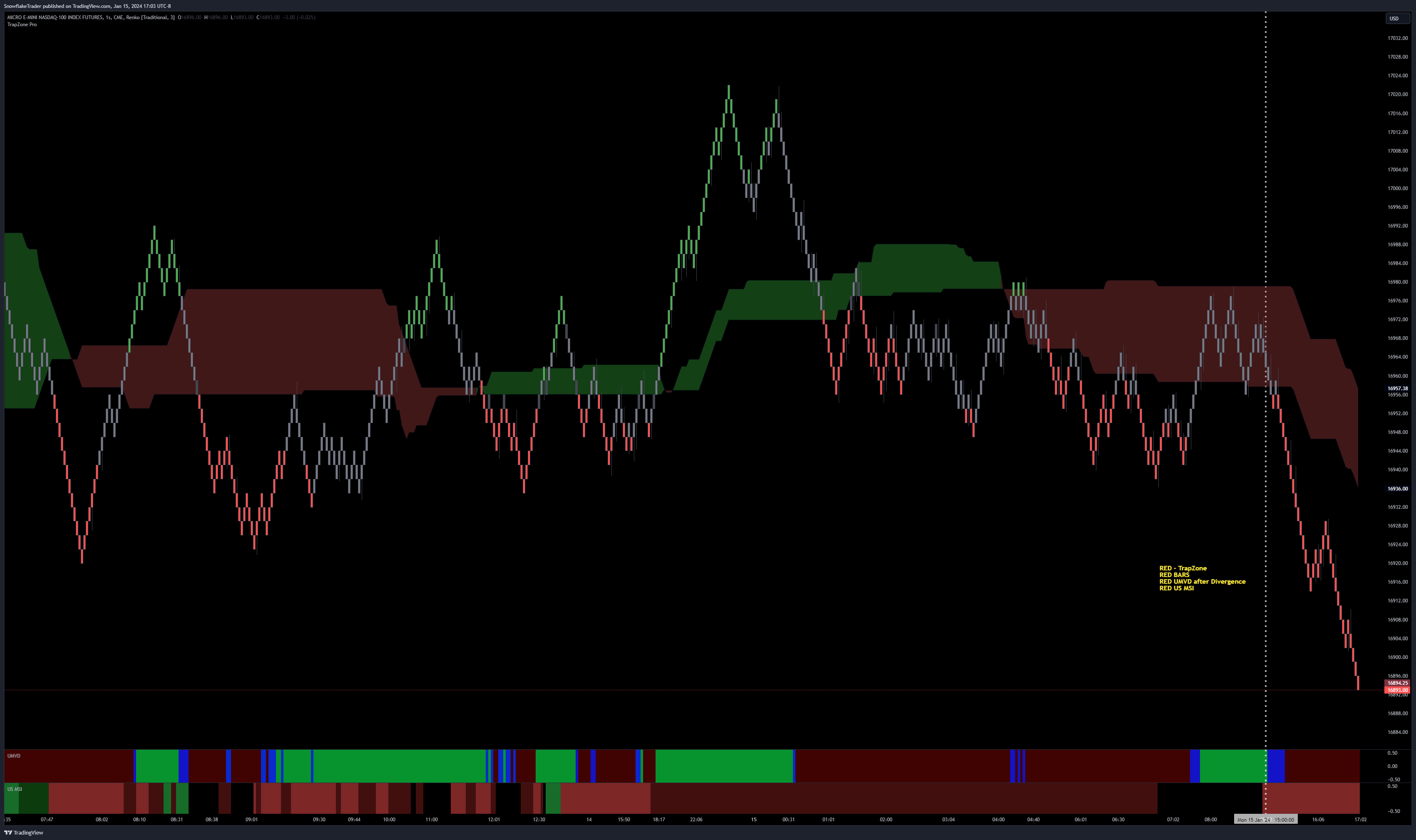 CME_MINI:MNQ1! Chart Image by SnowflakeTrader