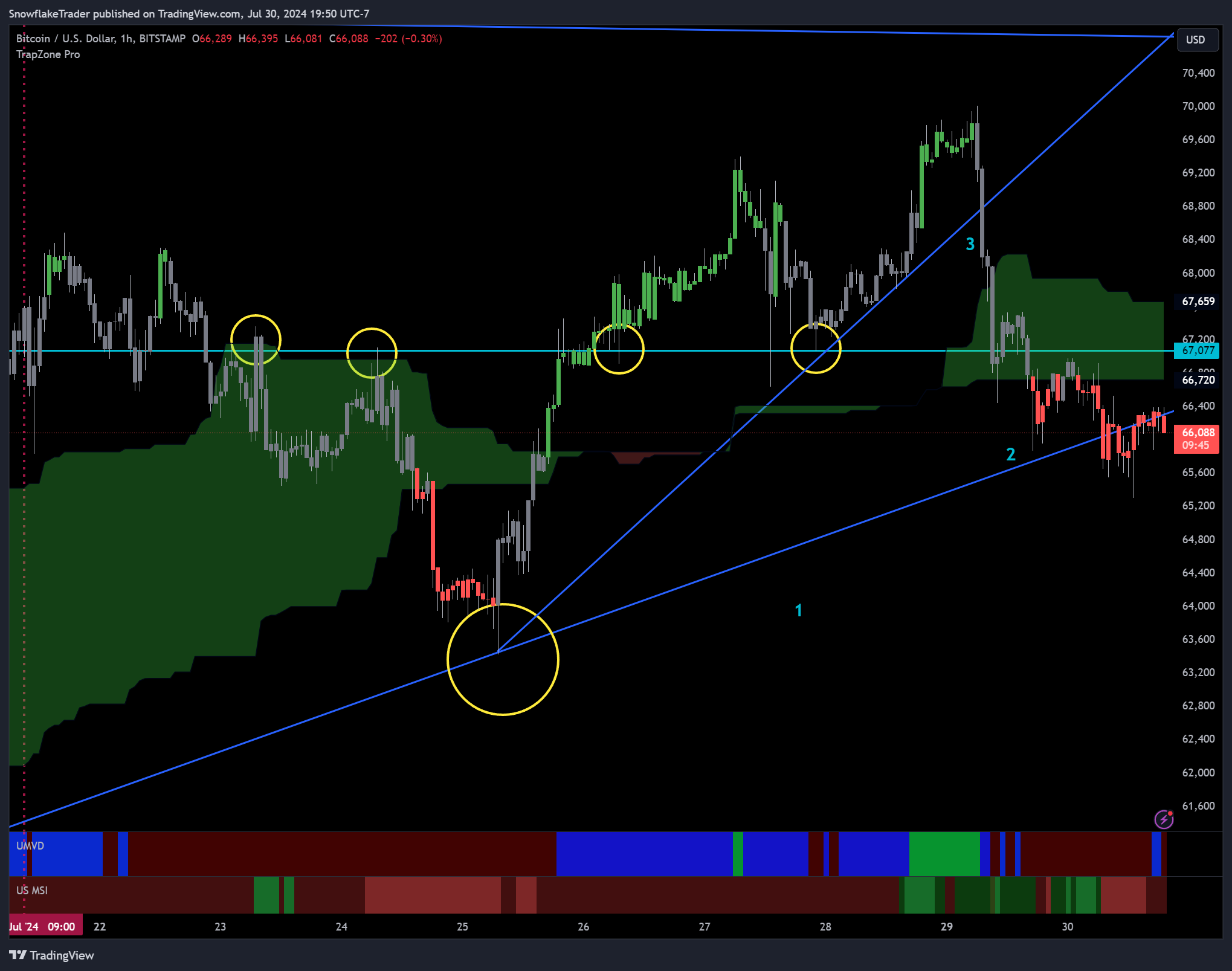 BITSTAMP:BTCUSDチャート画像 - SnowflakeTraderの投稿