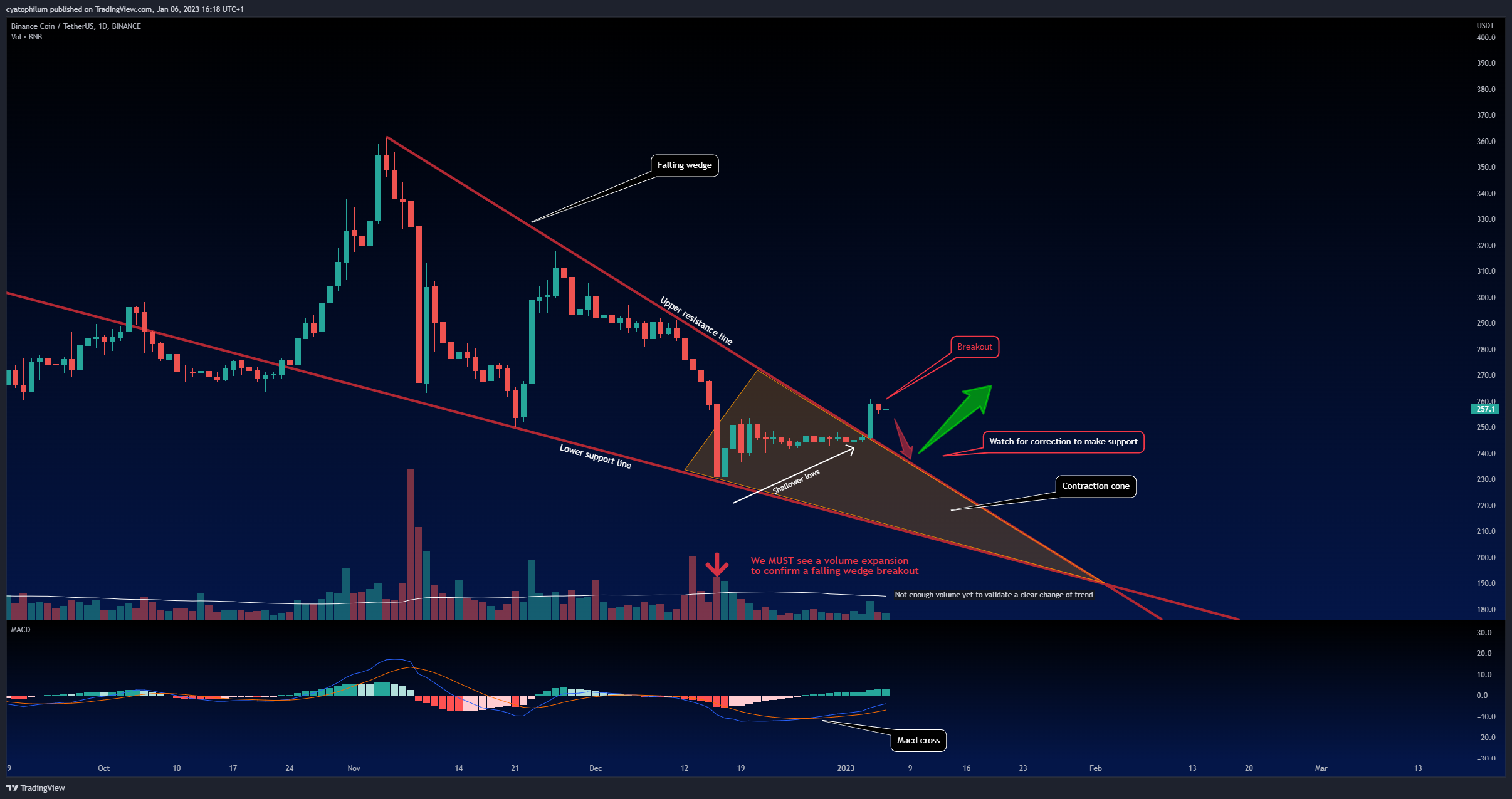 cyatophilum tarafından BINANCE:BNBUSDT Grafik Görseli