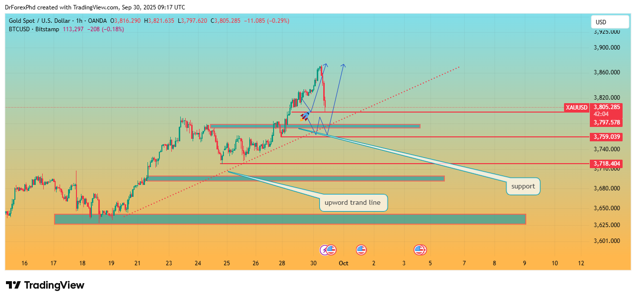 OANDA:XAUUSD Chart Image by DrForexPhd