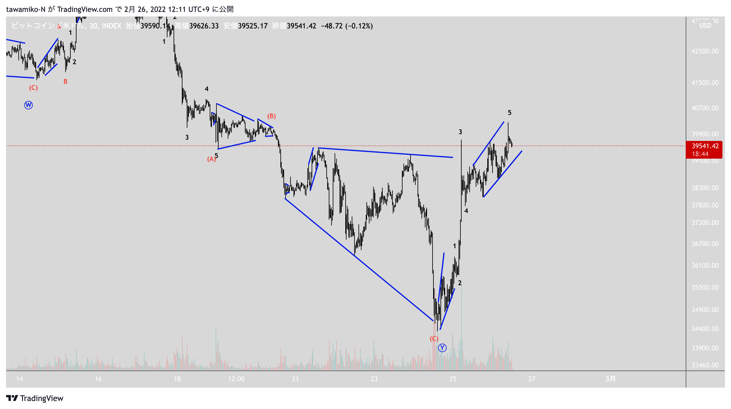 INDEX:BTCUSD Chart Image by tawamiko-N
