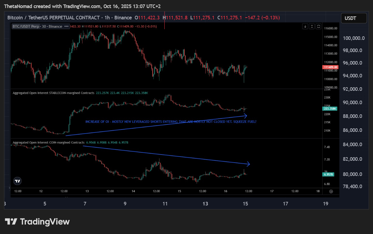 BINANCE:BTCUSDT.P Chart Image by ThetaNomad