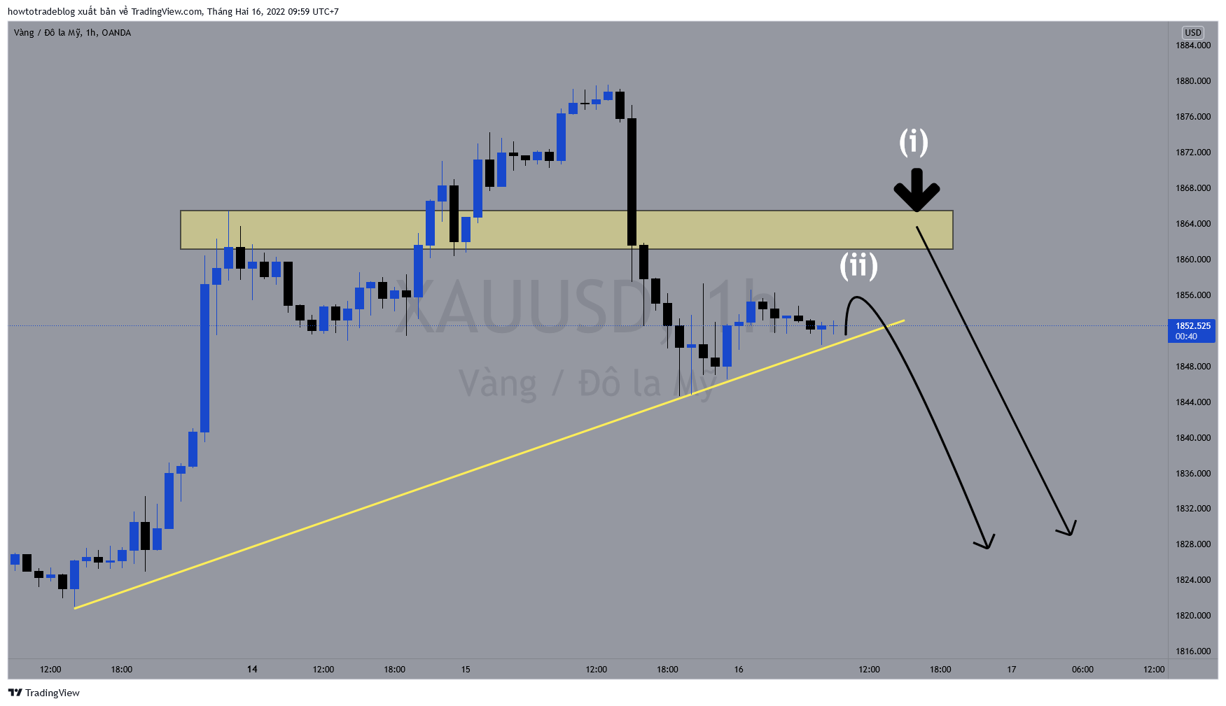 OANDA:XAUUSD Chart Image by Giavangvietnam