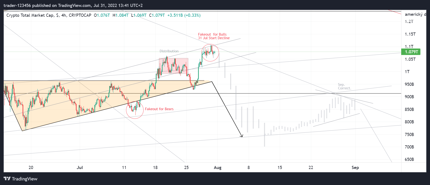 CRYPTOCAP:TOTAL ‏תמונת גרף מאת trader-123456