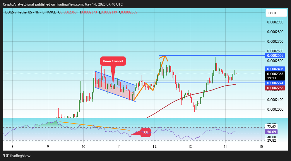 BINANCE:DOGSUSDT Chart Image by CryptoAnalystSignal