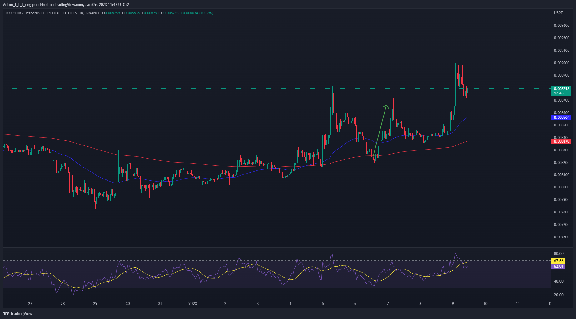 BINANCE:1000SHIBUSDTPERP Obraz wykresu od Anton_t_t_t_eng