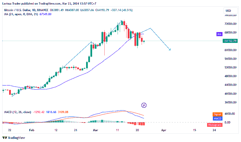 BINANCE:BTCUSD Chart Image by Larissa-Trader