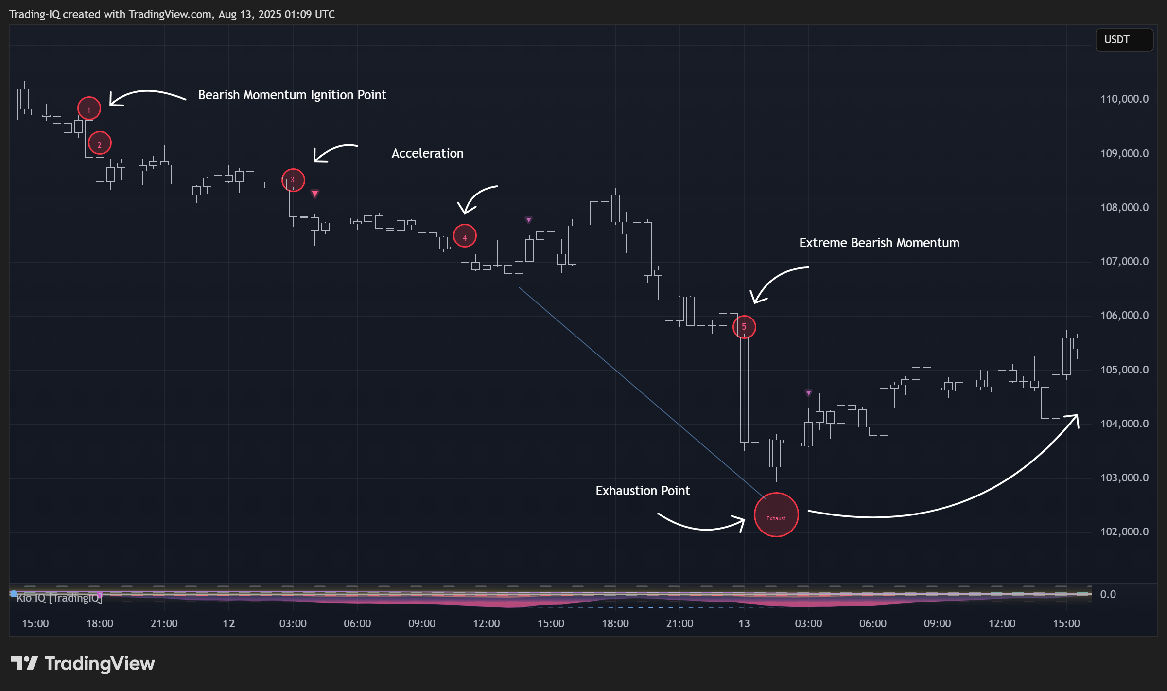 BINANCE:BTCUSDT.P Chart Image by Trading-IQ