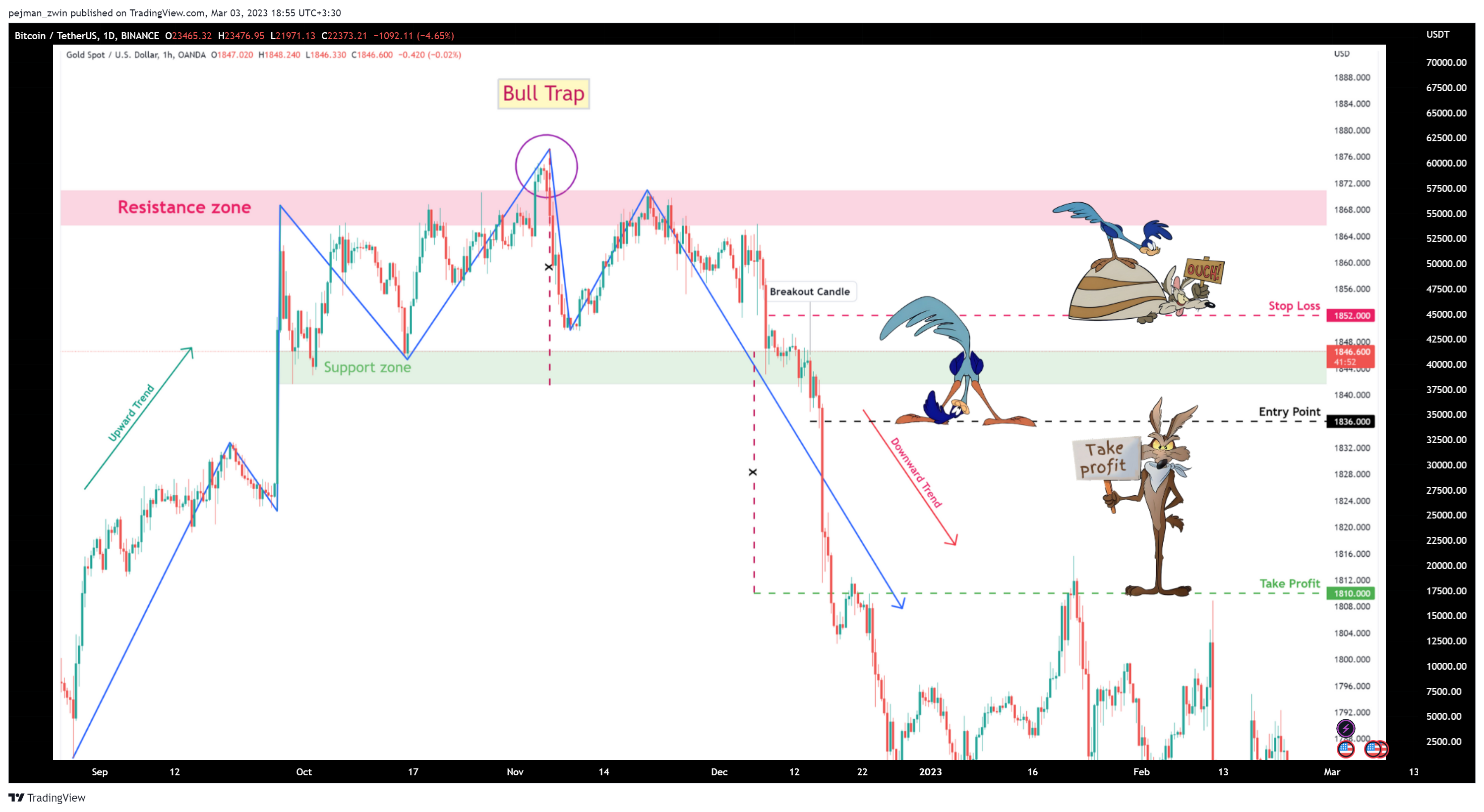 BINANCE:BTCUSDT Chartbild von pejman_zwin