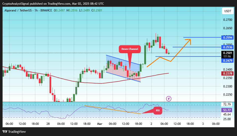 BINANCE:ALGOUSDT Immagine del grafico by CryptoAnalystSignal