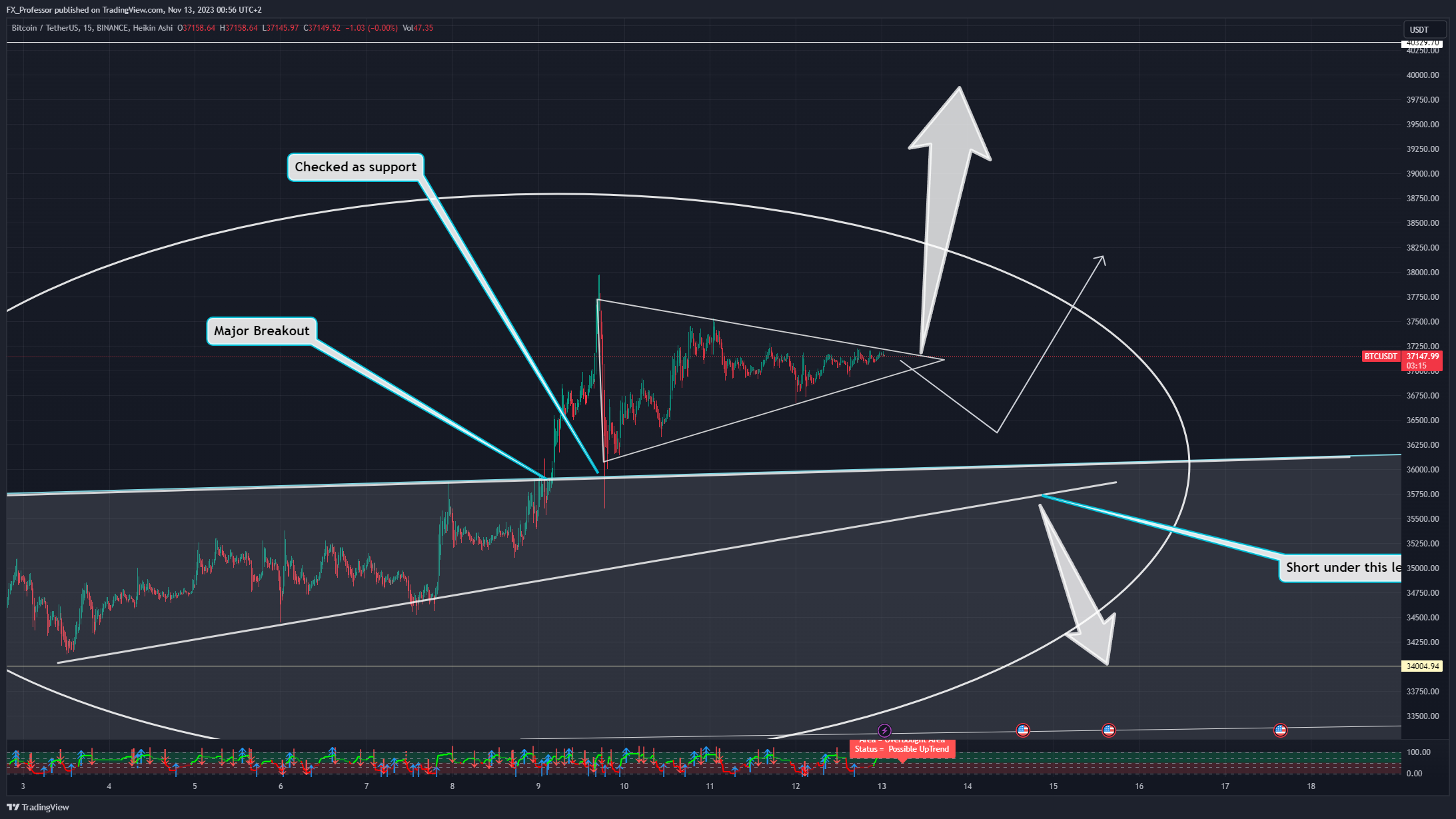 BINANCE:BTCUSDT Chartbild von FX_Professor