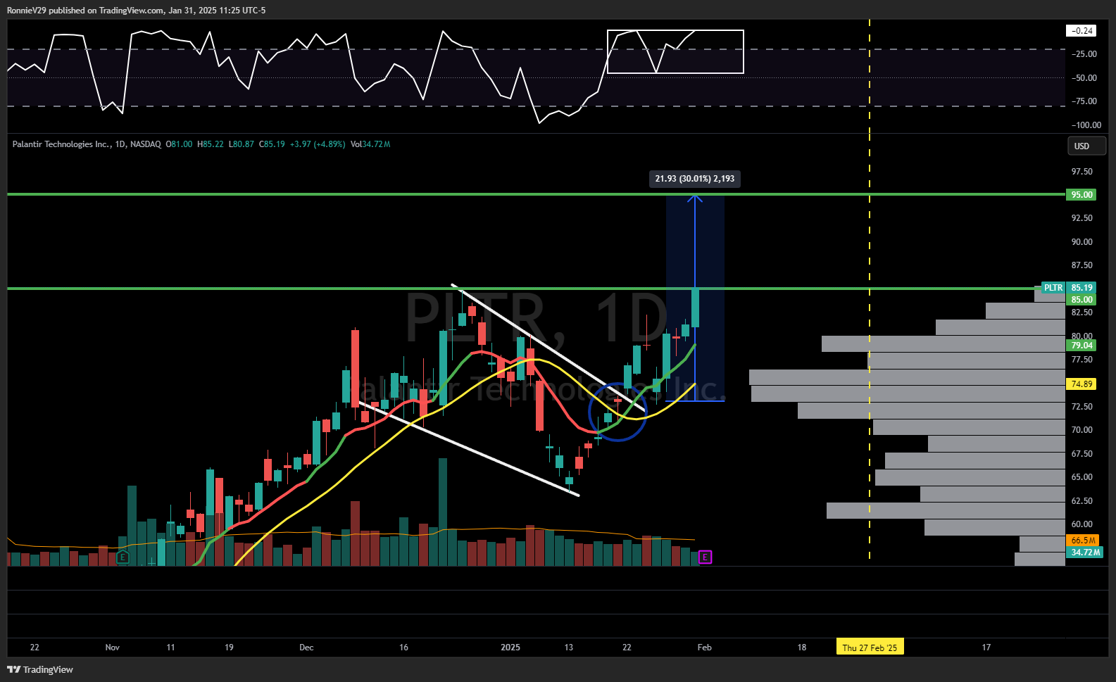 NASDAQ:PLTR Chart Image by RonnieV29