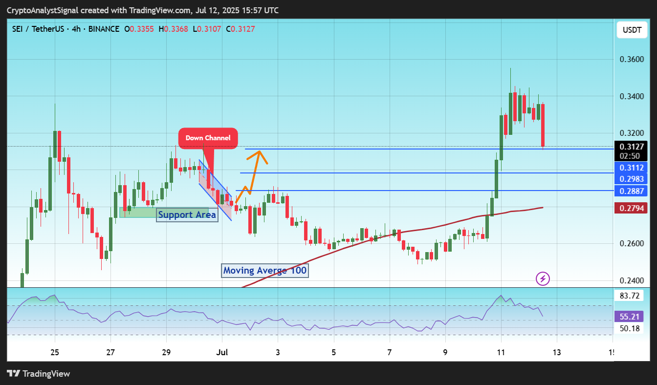 BINANCE:SEIUSDT Chartbild von CryptoAnalystSignal