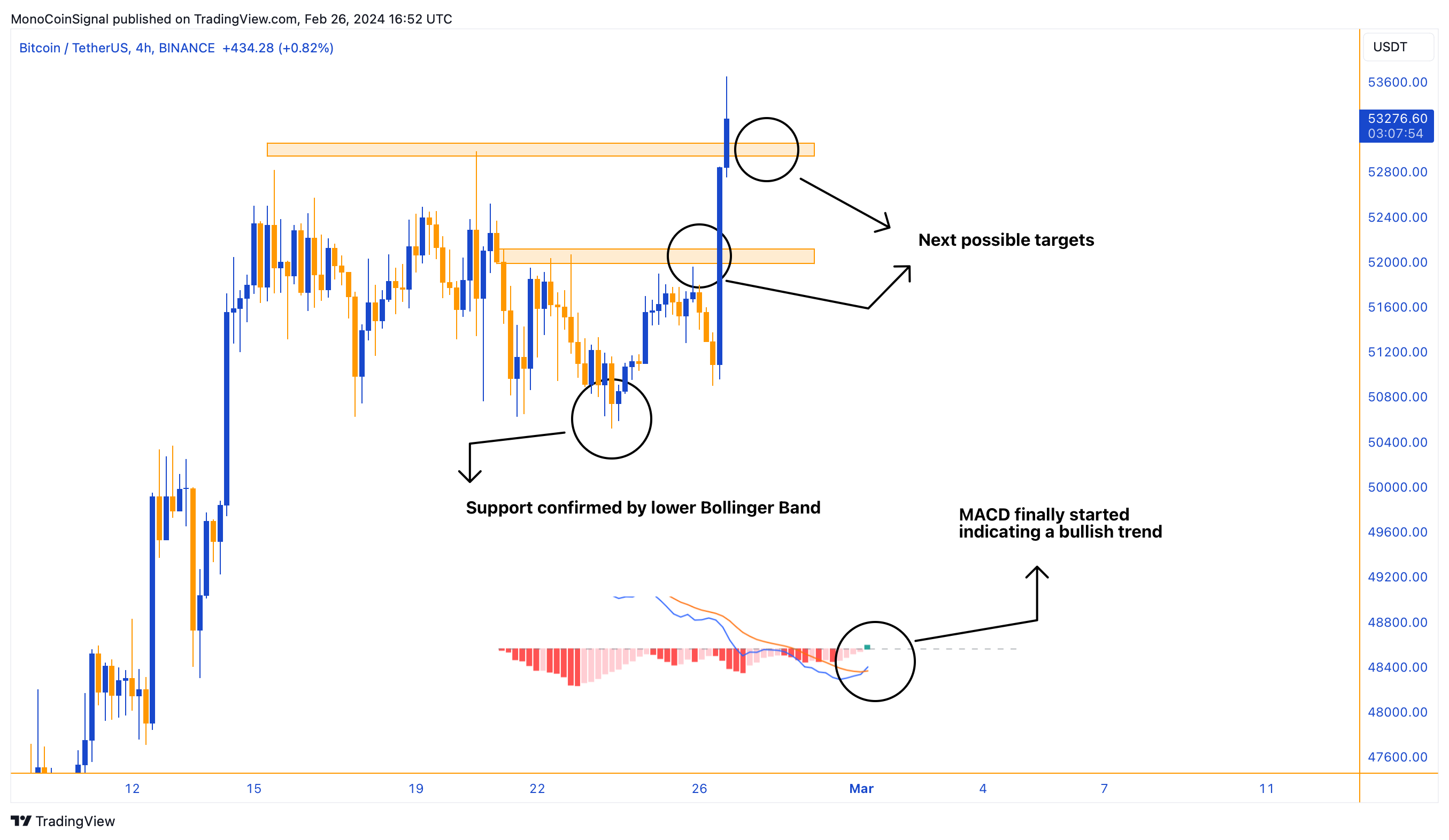 BINANCE:BTCUSDT Chartbild von MonoCoinSignal