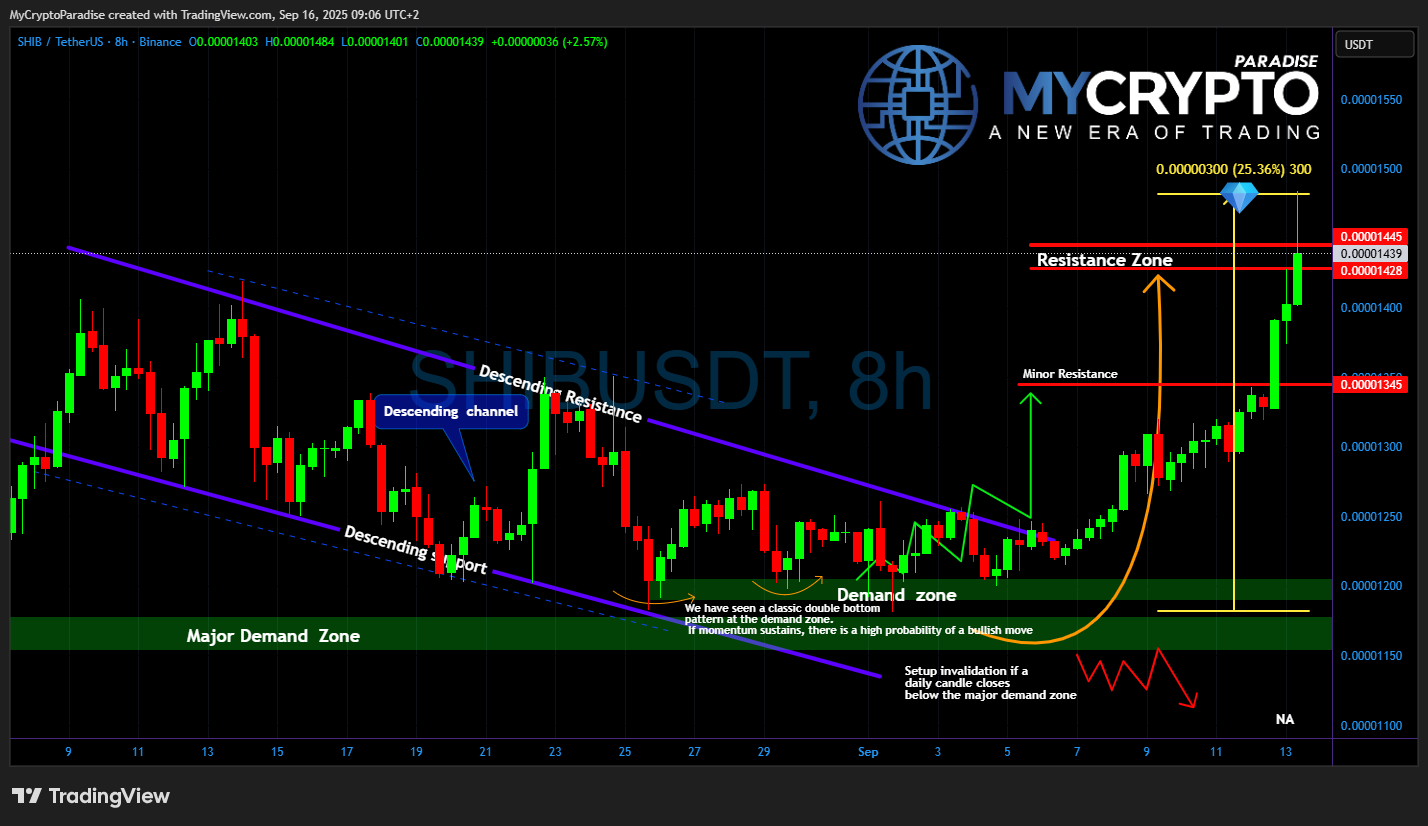 BINANCE:SHIBUSDT Chart Image by MyCryptoParadise