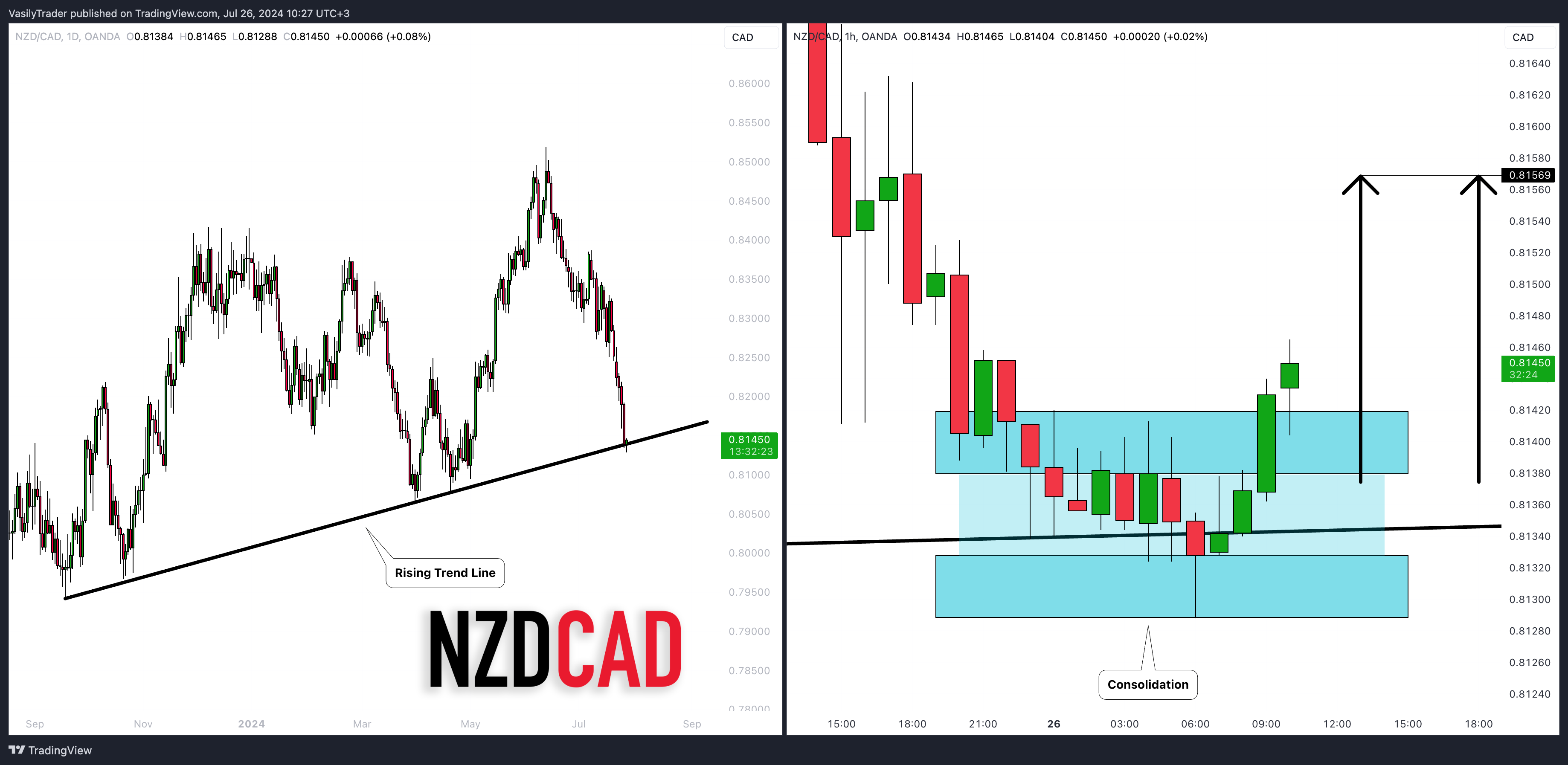 OANDA:NZDCAD ภาพชาร์ต โดย VasilyTrader