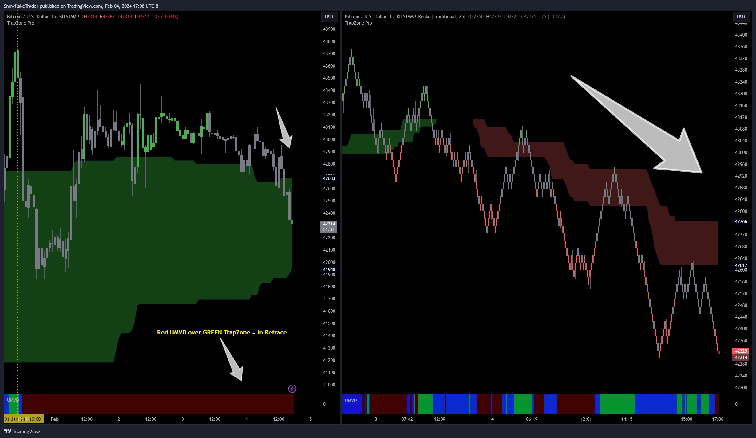 BITSTAMP:BTCUSD ภาพชาร์ต โดย SnowflakeTrader