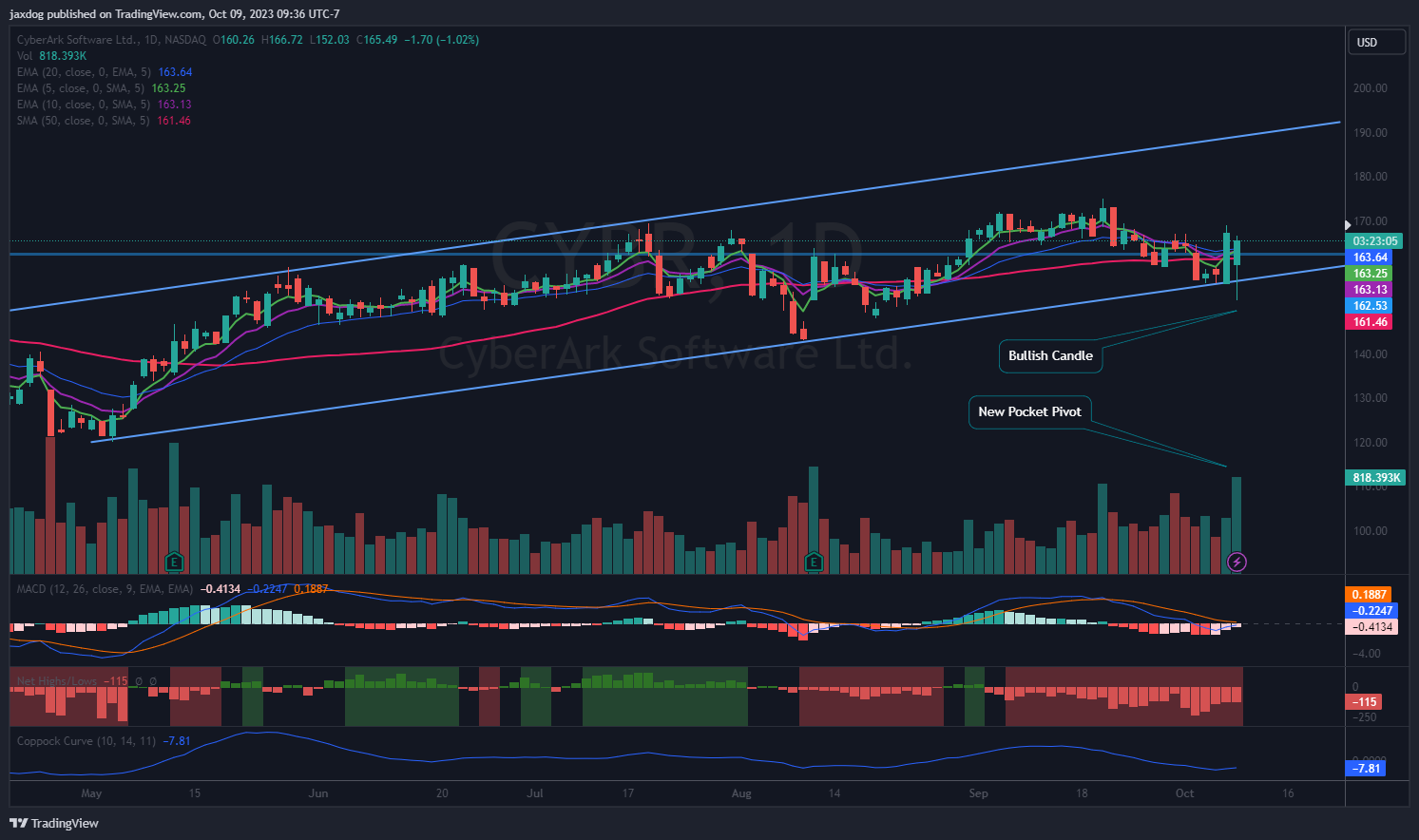 NASDAQ:CYBR Gambar chart oleh Brent_Calver