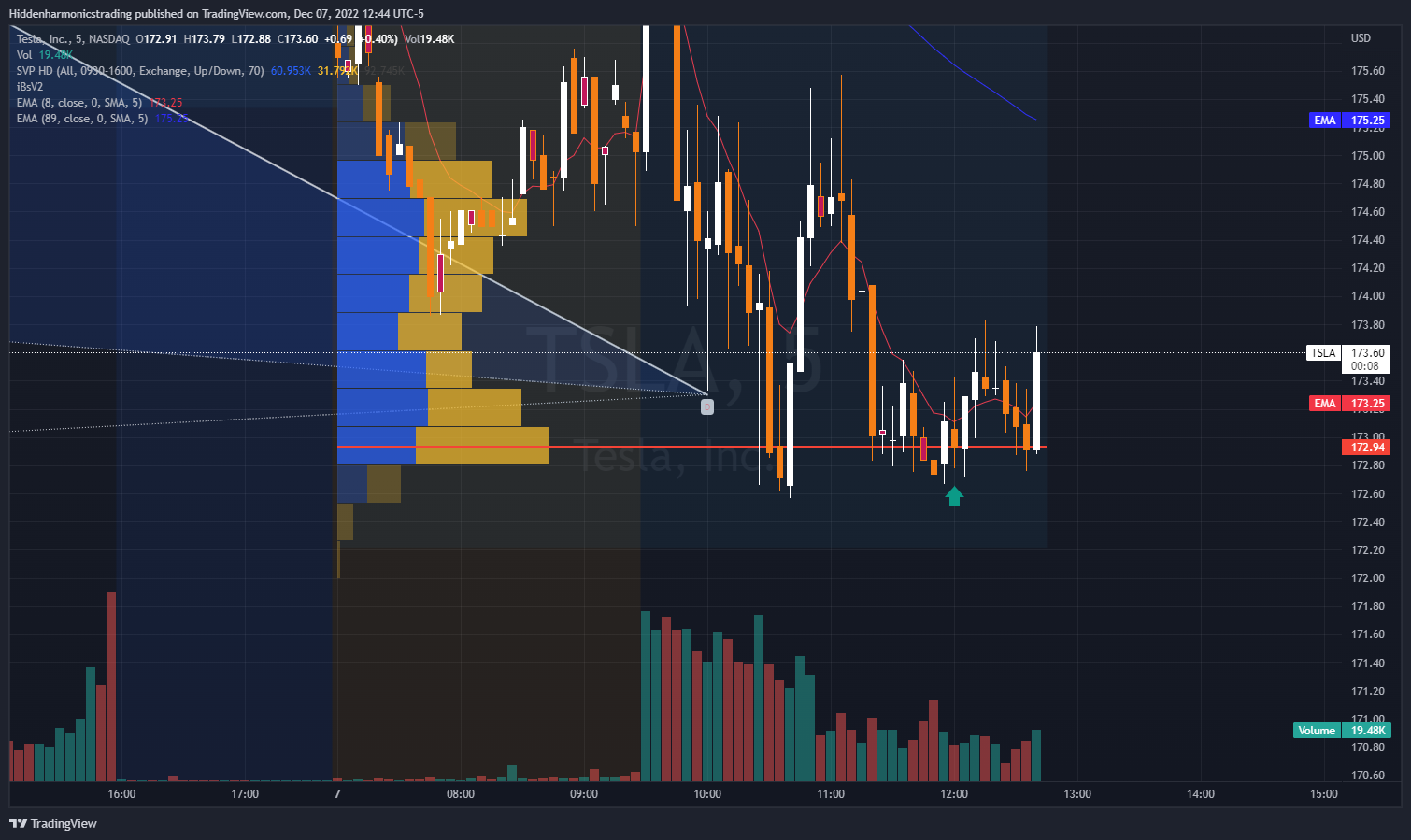 NASDAQ:TSLA Obraz wykresu od Hiddenharmonicstrading
