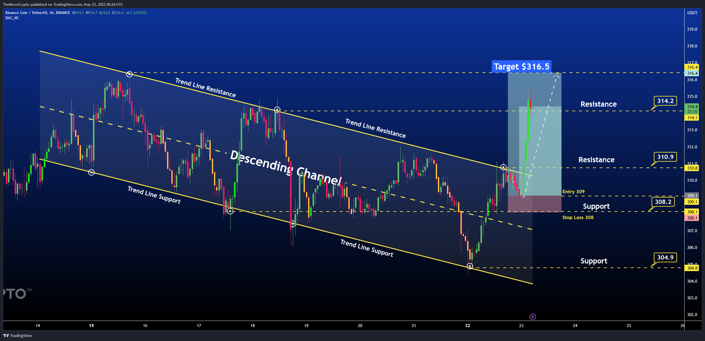 BINANCE:BNBUSDT Chart Image by TheNewsCrypto