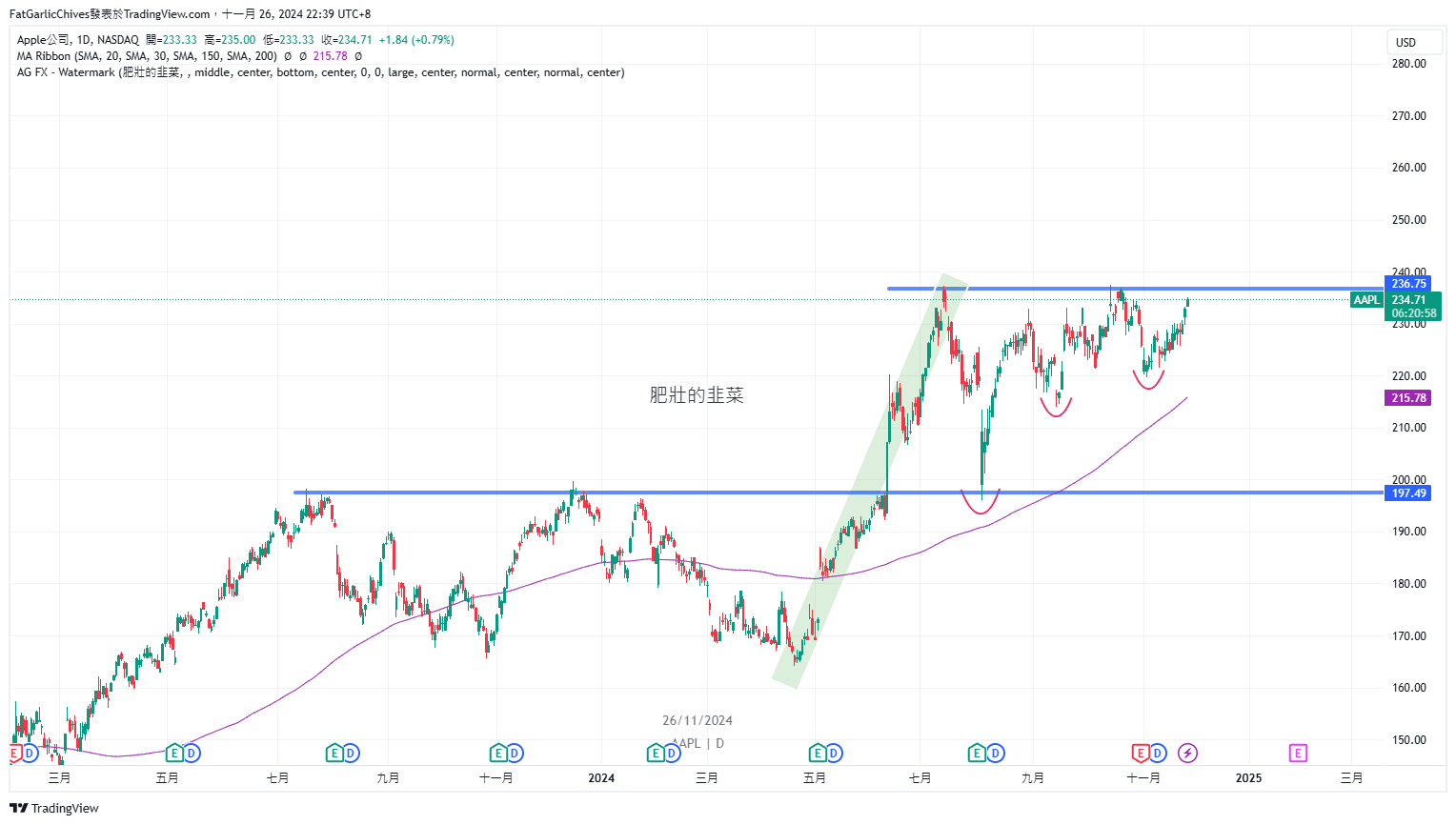 BATS:AAPL Chart Image by FatGarlicChives