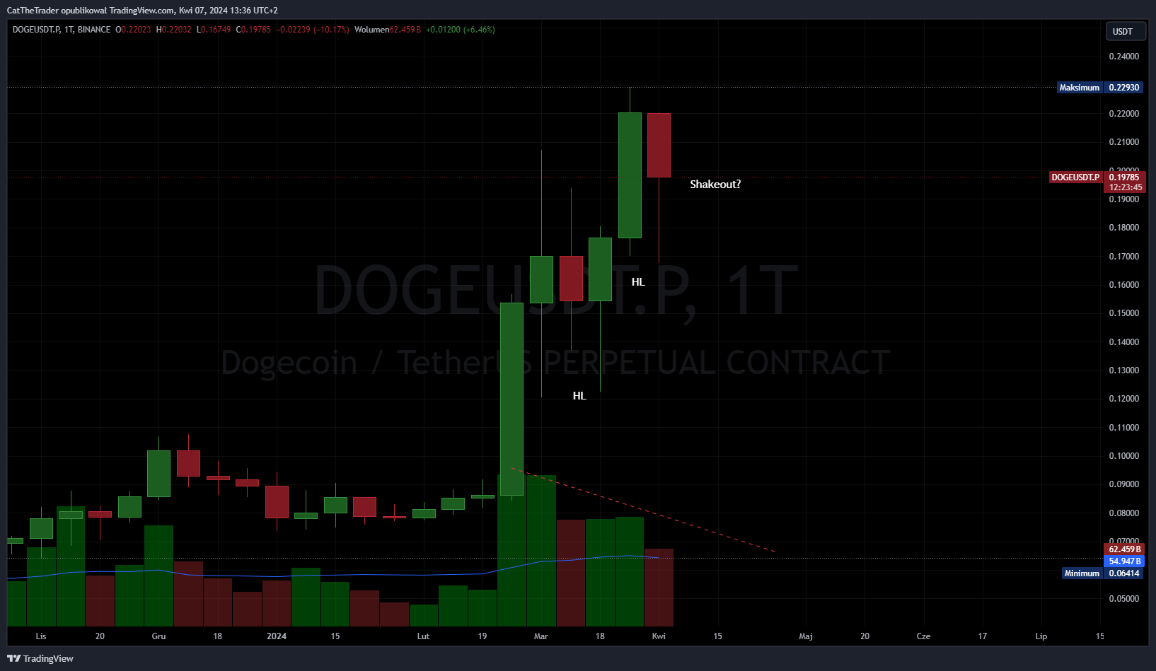 BINANCE:DOGEUSDT.Pチャート画像 - CatTheTraderの投稿